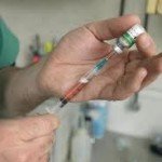 vaccination du chien