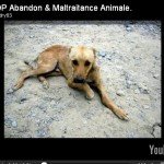 video_maltraitance