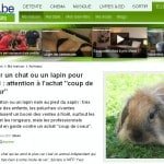 offrir animal
