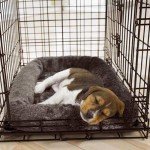caisse_pour_chiot