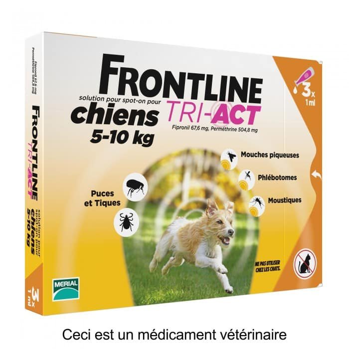 Déterminer la race et la paternité des chiens grâce à un test ADN -  Conseils veterinaires de Patrick