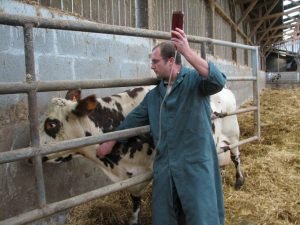 veterinaire pratique rurale