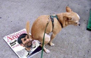 en iran posseder un chien est criminel