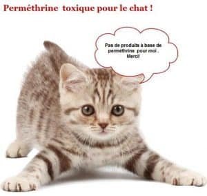 intoxication-permethrine-chat