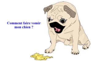 faire-vomir-mon-chien