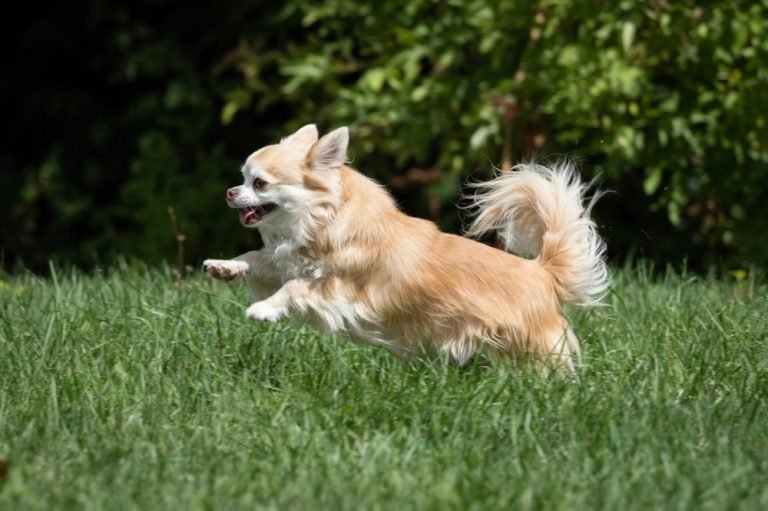 apprentissage de la propreté