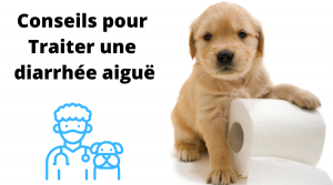 diarrhée aiguë