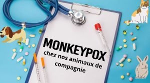 monkeypox