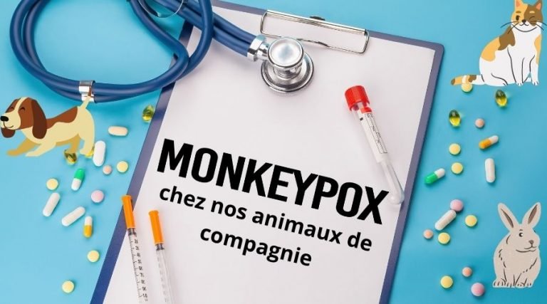 monkeypox