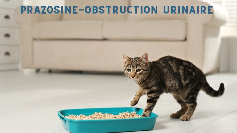 PRAZOSINE POUR LE CHAT