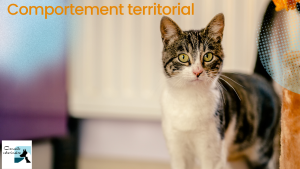 comportement territorial