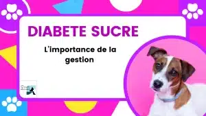 diabete sucre chez lechien