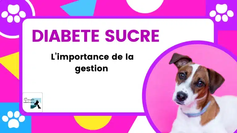 diabete sucre chez lechien