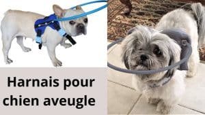 harnais-pour-chien-aveugle-sécurité