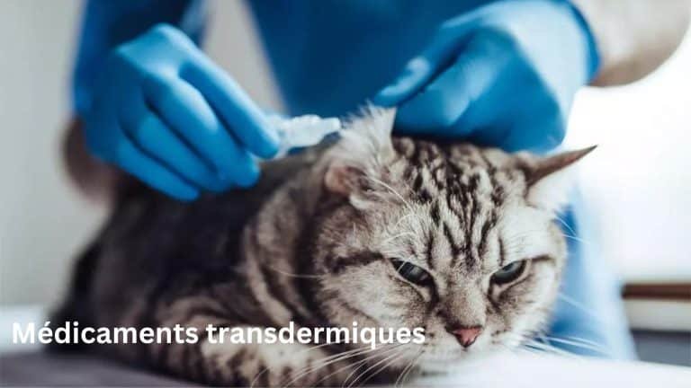 médicaments transdermiques