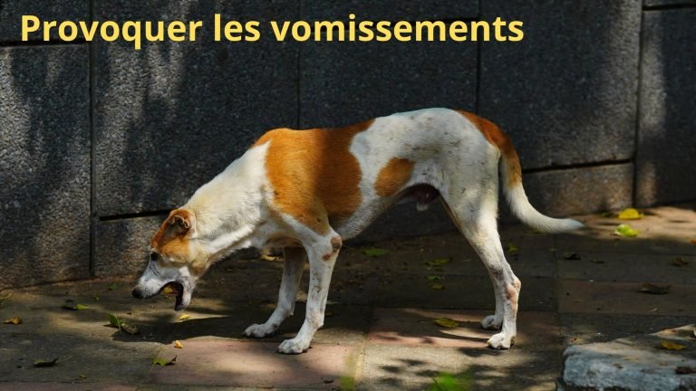 induction de vomissements
