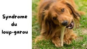 syndrome du loup-garou
