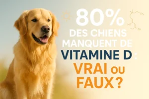 chiens manquent de vitamine D