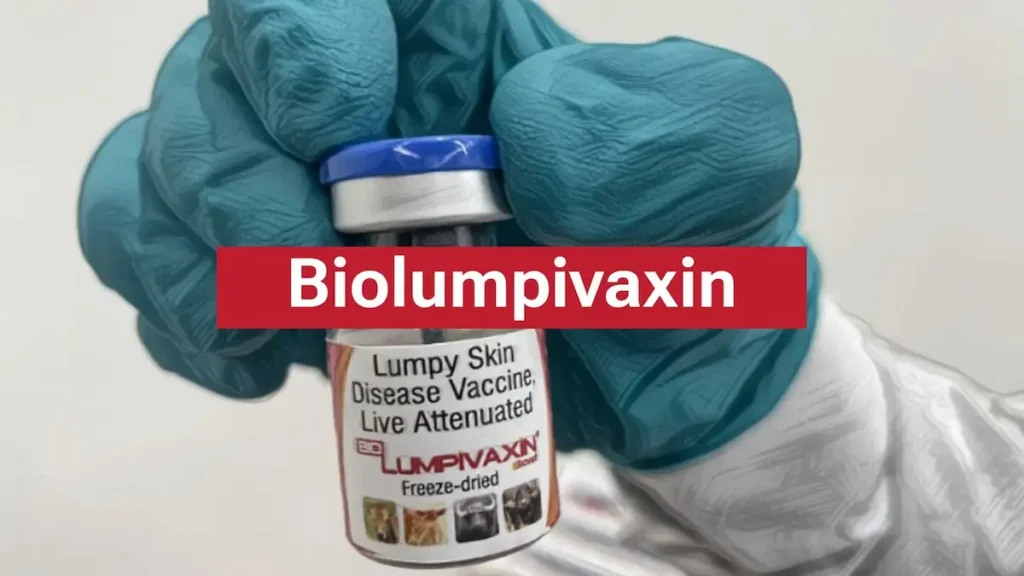 Flacon du vaccin BIOLUMPIVAXIN vaccin DIVA contre la DNC tenu par une main gantée en laboratoire.